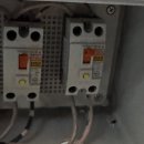 카멜리아 이미지