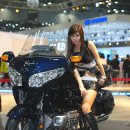 송지나 카카오 검색결과