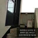 제주요요