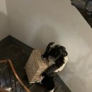 아영민박 이미지