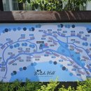 주)용평리조트 피크아일랜드 이미지