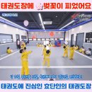 효단태권도장 이미지