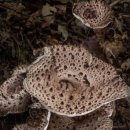 수비면 체육공원 이미지