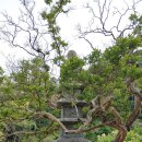 선국사 대웅전 이미지