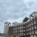 라테라스 코브 스위트 | [여수숙소] 여수 라테라스 리조트 코브스위트 오션뷰 후기