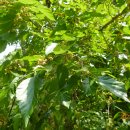 이현동2 이미지