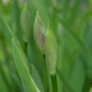 수미민박 이미지