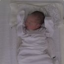 트리시아 산후조리원 이미지