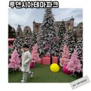 테마파크 | 여주 아이랑 루덴시아테마파크 후기 즐길거리 시설정보