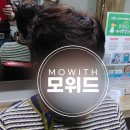 미에로헤어샵
