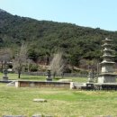 성주사지 이미지