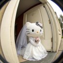 라온제나헤어 | w.33 : 강남 라온제나 아이폰 스냅 후기 / 데이즈스냅 본식 서브스냅 솔직 후기