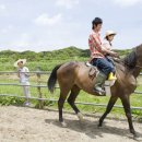 나불도 승마랜드 이미지