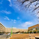 상지초등학교(병설) 네이버블로그