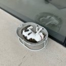 해안로 787 이미지