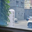 대천생조개칼국수 | 대전맛집명랑생조개칼국수(명랑칼국수) 솔직 후기!