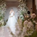 짙은 | 웨딩 스냅 원판 촬영 계약 후기 - 짙은 포토그라피 (짝꿍 코드 포함)