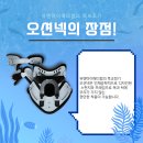 오션메디칼 이미지