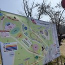 충남농원염소 | [충남/논산] 🍓 2026 논산딸기축제: 아이와 다녀온 솔직 후기 (가까운 임시주차장 위치, 주차 꿀팁...