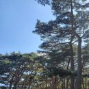 오늘도콩닭콩닭