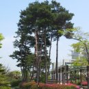 부평공업고등학교 이미지