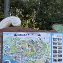 문화한바퀴(동구의고무신) | 울산 가 볼만한 곳, 장생포고래문화마을 방문