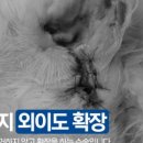 페토피아 동물병원 이미지