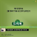 제주 환경콘서트 그룹 제국의아이들 응원 드리미 - 쌀화환 드리미 이미지
