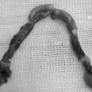 박창언 동물병원 이미지