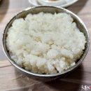 신라식당 티스토리