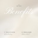 W. 결혼준비카페 '메이크마이웨딩' 솔직 이용후기(더드림 등업👑🌟)