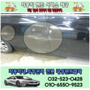 대성덴트칼라 이미지