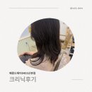 메종드헤어0403 - 중구 명동4길 28 | 메종드헤어0403 산본점 클리닉 솔직 후기💇🏻‍♀️❤️