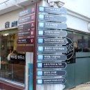 창동 가로수길 이미지