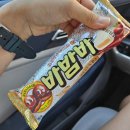 용진산약수터 | 광주 용진산 등산 용진정사에서 석봉까지 / 들머리 위치 / 소요시간