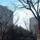 영어마을신도시공인중개사사무소 이미지