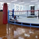 정인권투체육관 이미지