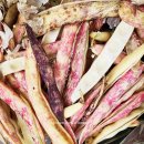 나드리독 | 호랑이콩 푸실리 샐러드 파스타(feat. 냉파스타)