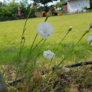 럽포협동조합(Love4 coop) 이미지