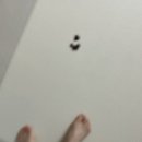 진정훈동물병원 이미지