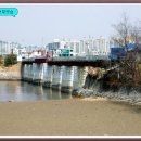 허브내음 이미지