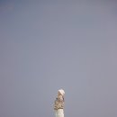 하늘연못 이미지