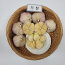 농업회사법인 통 주식회사