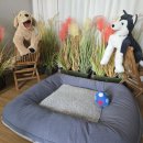 재인민박 이미지