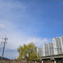 낙동강관리본부 화명생태공원 3 이미지