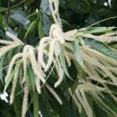 함께 꽃피우는 세상 이미지