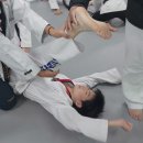 선랑태권도 이미지