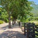 로맨틱533펜션&캠프 이미지