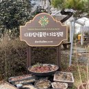 다화림 | 담양 원데이클래스 다화림식물원