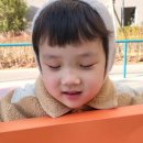 팽이초콜릿 이미지